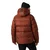 Helly Hansen ACTIVE WINTER PARKA, moška jakna, rjava 54514