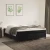 Vidaxl Box spring postelja z vzmetnico črna 180x200 cm žamet