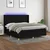 Vidaxl Box spring postelja z vzmetnico LED črna 180x200 cm blago