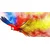 Slika let papagaja - 80x40