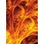 Tapeta abstrakten gozd - 196x270