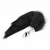 Kink Fox Tail with Metal Plug Black