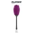 Playboy Pleasure Petal Wild Aster