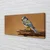 tulup.si Slika na platnu Bird 100x50 cm