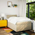 vidaXL vidaXL Box spring postelja z vzmetnico krem 120x190 cm blago, (21305002)