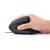 GEMBIRD Miš USB tipa A Optički MUS-ERGO-01 3200 DPI
