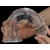 Dildo “Flawless Clear”