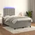 Vidaxl Box spring postelja z vzmetnico LED sv. siva 120x190 cm žamet