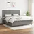vidaXL Box spring postelja z vzmetnico temno siva 200x200 cm blago