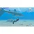 Nintendo Endless Ocean Luminous igra, Switch