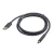 Gembird Kabl USB 2.0 AM na USB Type-C dužine 1m | CCP-USB2-AMCM-1M