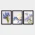Wallity Set uramljenih slika 3SC_2738270, 3 Dela