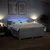 vidaXL Box spring postelja z vzmetnico svetlo siva 200x200 cm blago
