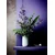 Rosenthal ROSENTHAL VESI WAVELETS Vaza 25 cm