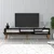 Hanah home TV Komoda Valensiya Šarena