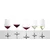 Kozarci za belo vino, set 4 kosov TULIP, Schott Zwiesel