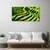 tulup.si Slika na platnu Rice field forest narava 100x50 cm