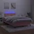 Vidaxl Box spring postelja z vzmetnico LED roza 120x200 cm žamet
