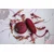 Lola games Vibro jaje Remote Control Love Story Mata Hari Wine Red