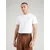 Calvin Klein Jeans Majica 30S CLASSIC bež/antracit/bela