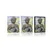 Plakat jin in jang Buda - 30x45 silver