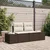 Vidaxl Vrtni kavč z blazino Rjava 184 x 62 x 69 cm poli ratan