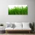 tulup.si Slika na platnu Grass nature rastlin 100x50 cm