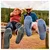 Moške nogavice Smartwool Hike Light Cushion Classic Edition Crew Nightfall Blue L