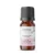 Herbst eterično olje geranije Egipt 10 ml