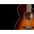 SEAGULL PERFORMER CW CH BURNT UMBER PRESYS II W BAG | ELEKTRO AKUSTIČNA GITARA