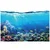 Tapeta tropske ribe - 196x270