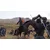 PS5 Mount & Blade 2: Bannerlord
