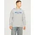 JACK & JONES Majica JJALVIS  modra / pegasto siva