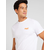 SUPERDRY MAJICA ORGANIC COTTON ESSENTIAL LOGO T-SHIRT ZA MUŠKARCE