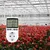 STEEIRO – regulator temperature 230 v