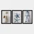Wallity Uramljena slika 3SC_25445214_5575, 55x75 cm, 3 dela