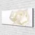 tulup.si Slika na platnu Rose flowers 140x70 cm