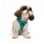 Paws & Whiskers Am za pse Air-Mesh, Svetlozeleni