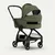 REDSBABY AERON kolica, Ivy 2u1 B
