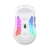 Miš White Shark Cador (WGM 5020) / 6400 DPI / Wireless / White