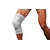 ščitnik za koleno PROTECTION KNEE SHORT