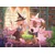 Ravensburger Puzzle Začarana knjižnica XXL 200 kosov