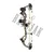 Bear Archery Compound Bow Royale Package Extra