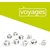 Zygomatic igra s kockami Rorys Story Cubes Voyages