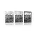 Plakat čudovita gorska panorama v črnobeli varianti - 20x30 black