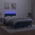 Vidaxl Box spring postelja z vzmetnico LED tem. modra 120x190 cm žamet