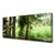 tulup.si Slika na platnu Parrot tree narava 125x50 cm