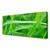 tulup.si Slika na platnu Listi nature dew drops 125x50 cm