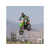 Losi Moto-MX 1:4 RTR Pro Circuit