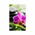 Plakat wellness tihožitje z vijolično orhidejo - 20x30 black